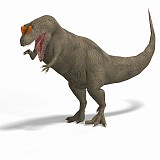 Allosaurus 06 A_0001